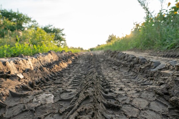Uma pista de carro profunda em uma estrada de terra russa após a chuva A marca dos pneus de carro na sujeira Lama seca nas estradas da vila