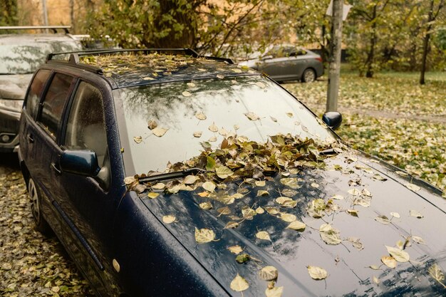 Foto uma pitoresca cena de outono de um carro estacionado em um quintal coberto de folhas de outono vibrantes a folhagem colorida cria um contraste impressionante contra o veículo mostrando a beleza da estação de outono