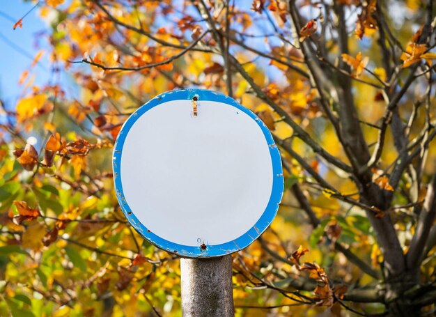 Foto uma placa branca com uma borda azul e uma borda azul está na frente de uma árvore.