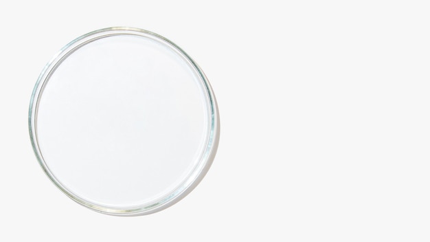 Foto uma placa de petri vazia sobre um fundo claro
