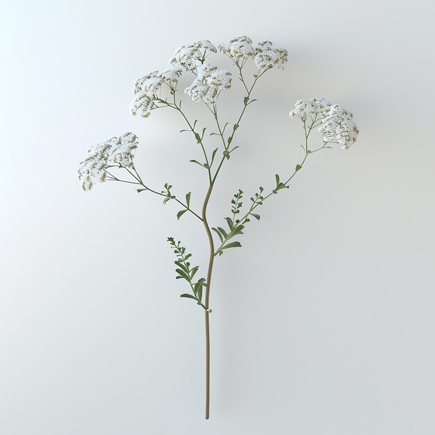 Foto uma planta branca com flores brancas em um vaso
