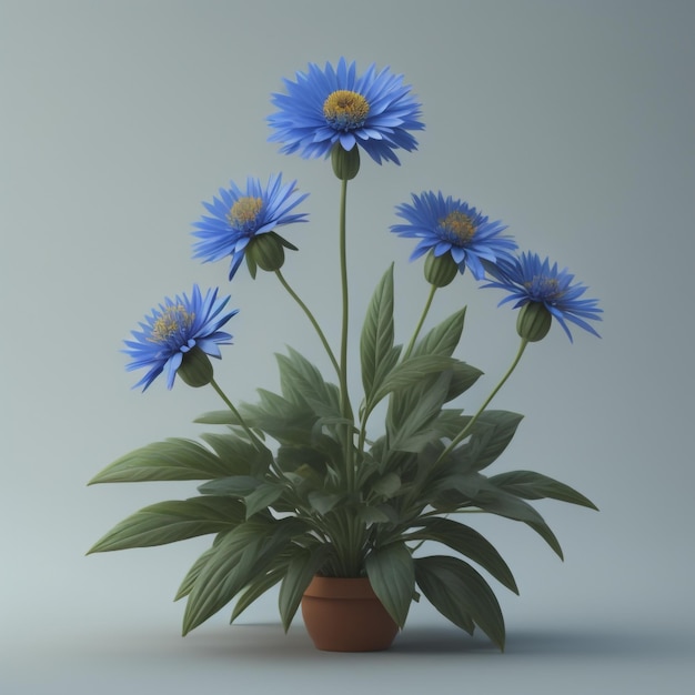 Uma planta com flores azuis em uma panela com um fundo branco.