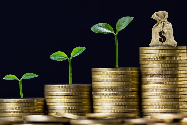 Foto uma planta crescendo em moedas empilhadas e saco de dinheiro retrata o crescimento do fundo e a riqueza