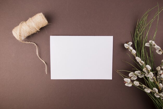 Uma planta de foca ramos e folha de papel branco