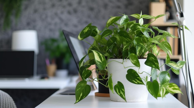 Uma planta em uma mesa com um laptop sobre a mesa