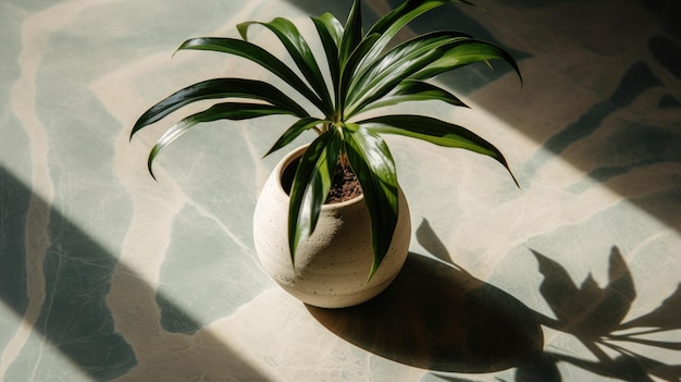 Uma planta em uma panela em uma superfície de mármore