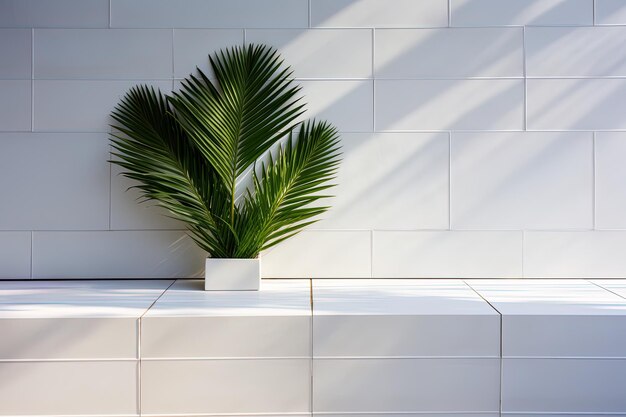 Foto uma planta em uma prateleira branca com um fundo de azulejos brancos