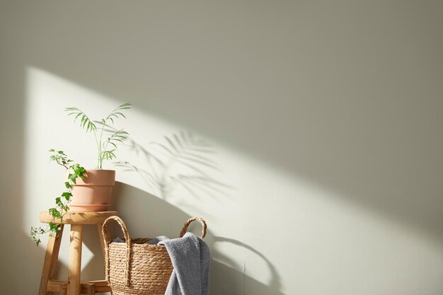 Uma planta fresca com o sol da manhã brilhando em meu lar feliz