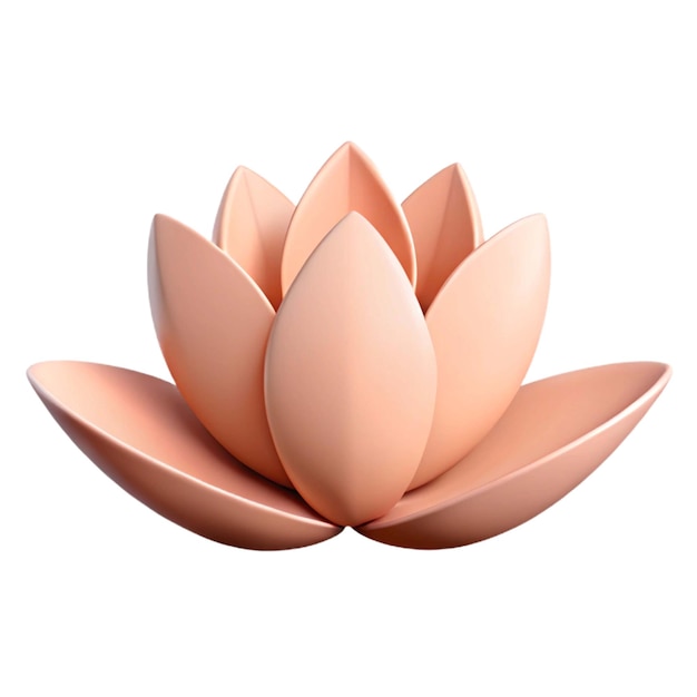 uma planta rosa com uma flor rosa no meio