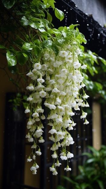 Uma planta suspensa com flores brancas penduradas nela