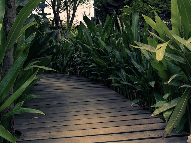 Uma ponte de madeira em um belo jardim