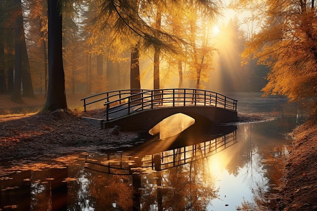 Uma ponte iluminada pelos últimos raios do sol