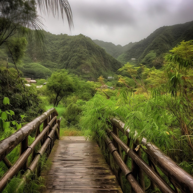 Foto uma ponte que tem a palavra selva nela