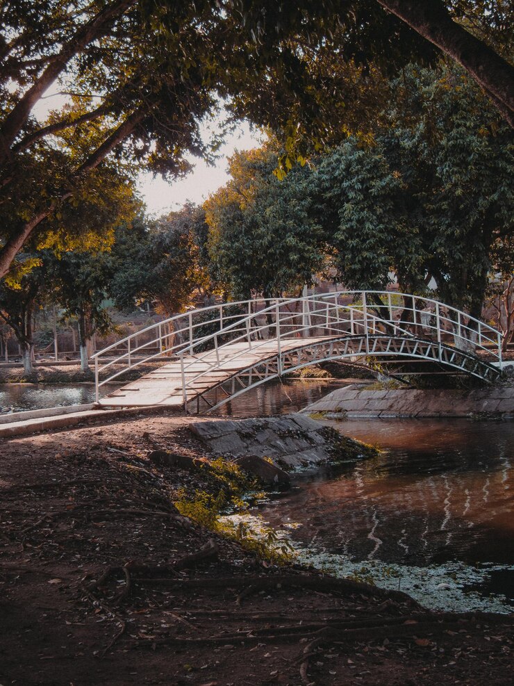 Uma ponte sobre a água.