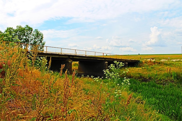 Foto uma ponte sobre um campo