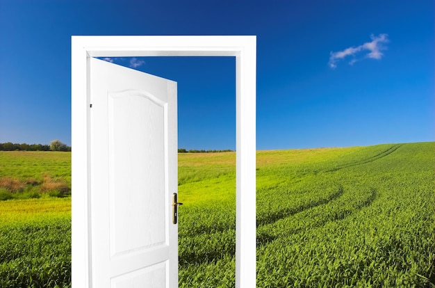 uma porta branca aberta para um campo verde com um céu azul ao fundo