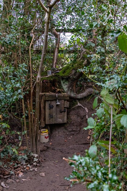 Foto uma porta de madeira está aberta para uma árvore que tem uma árvore crescendo nela.