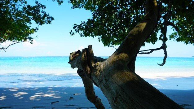 Uma praia branca como a neve na ilha de Similan