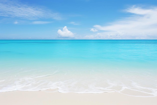 Uma praia com céu azul e areia branca