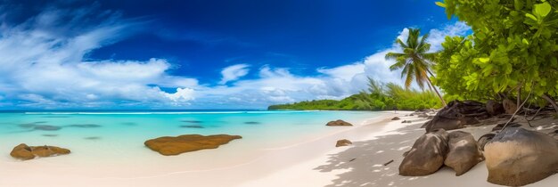 Uma praia com céu azul e areia branca