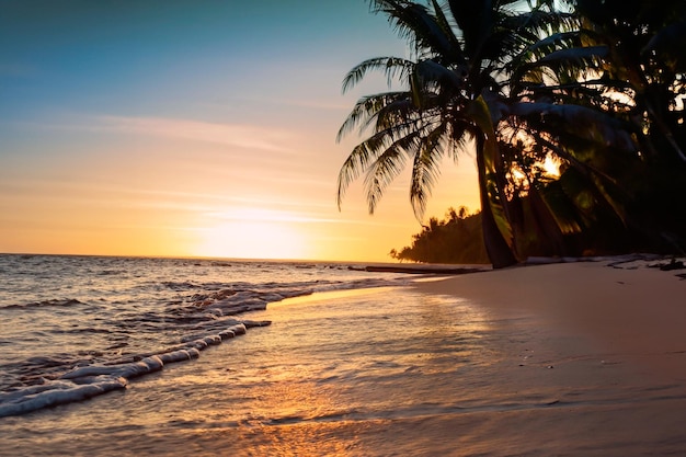 Uma praia com palmeiras ao pôr-do-sol