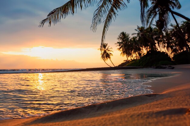 Uma praia com palmeiras ao pôr-do-sol