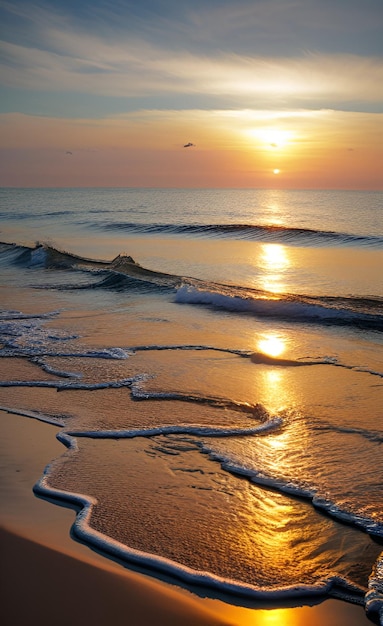 Uma praia com um pôr do sol e as gaivotas voando no céu
