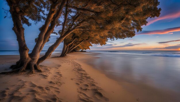 uma praia com uma árvore e as pegadas da palavra na areia