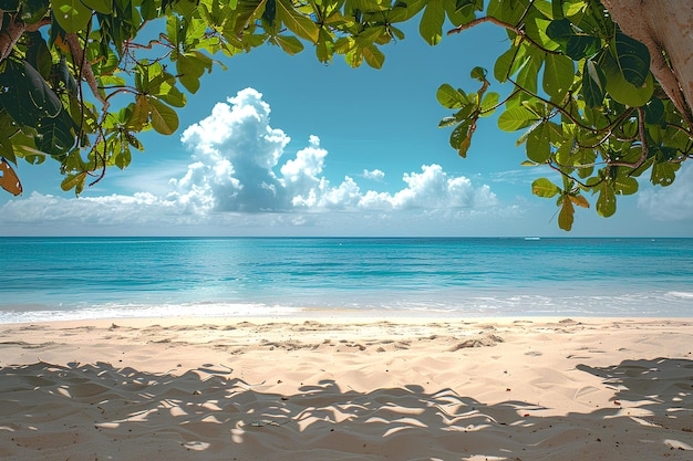 Uma praia com uma árvore e um céu azul com nuvens ao fundo e uma praia com uma praia de areia