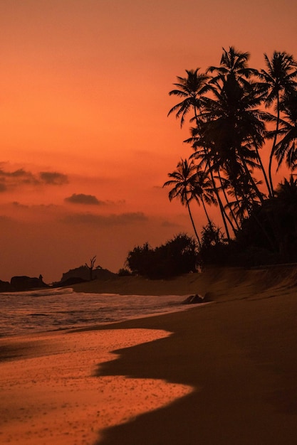 Uma praia durante a Hora de Ouro Foto