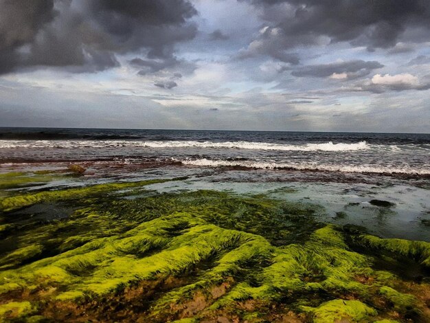 Uma praia marítima