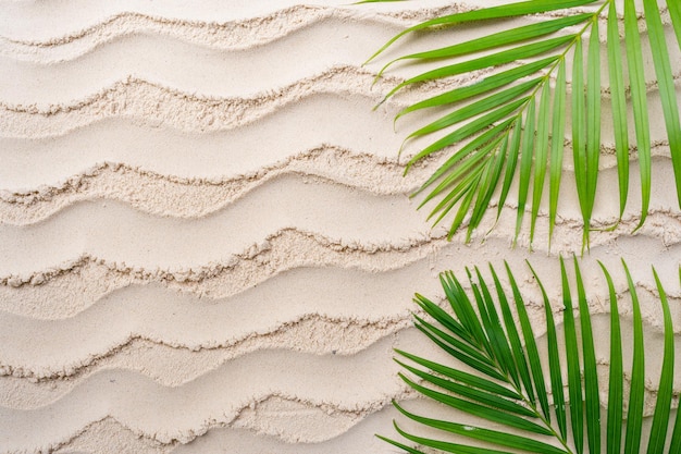 Uma praia tropical com folhas de palmeira e uma areia branca com uma folha de palmeira verde.