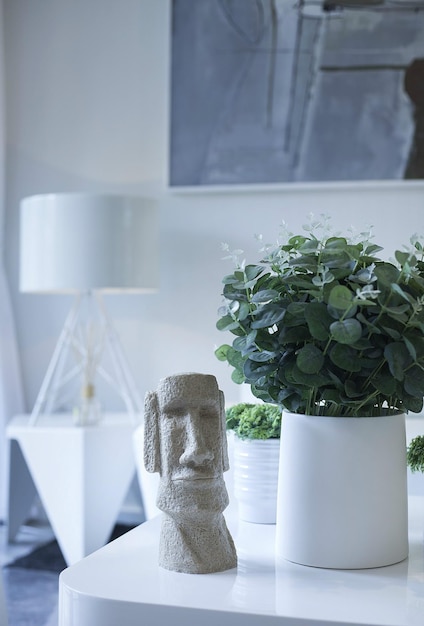uma prateleira com um rosto e um vaso com plantas e uma cabeça