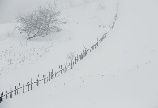 Uma queda de neve abundante nos Cárpatos romenos na aldeia de Sirnea,