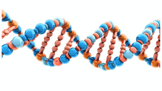 Foto uma renderização 3d de uma dupla hélice de dna a imagem é azul e laranja e tem um fundo branco é uma renderização muito detalhada e realista