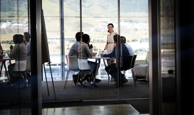 É uma reunião de mentes Foto de uma empresária fazendo uma apresentação para um grupo de colegas em uma sala de reuniões