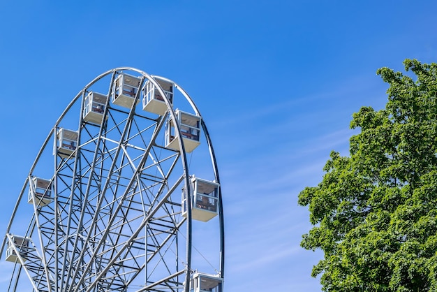 Uma roda gigante branca à esquerda uma árvore com folhas verdes no céu azul direito ao fundo