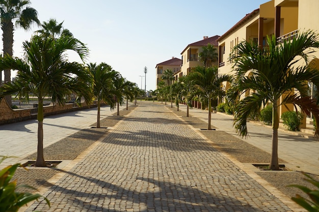 Uma rua com palmeiras na cidade de Santa Maria, na ilha do Sal, em Cabo Verde