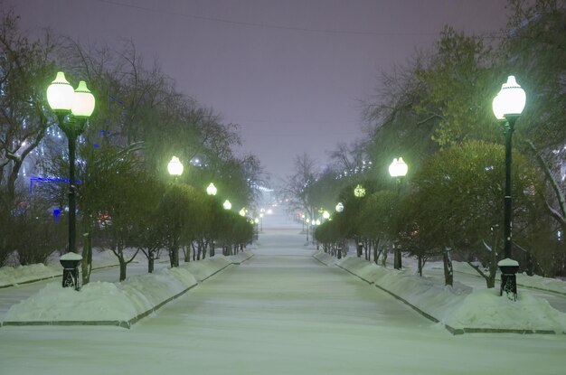 Uma rua de noite de neve com lanternas.