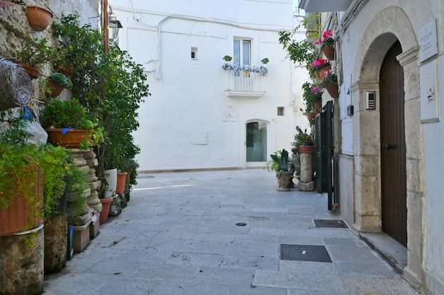 Uma rua estreita entre as antigas casas de Monopoli, uma cidade na província de Bari Itália