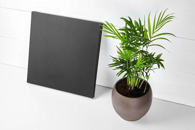 Foto uma tela de algodão preto e planta verde em vaso de flores em fundo de madeira branca