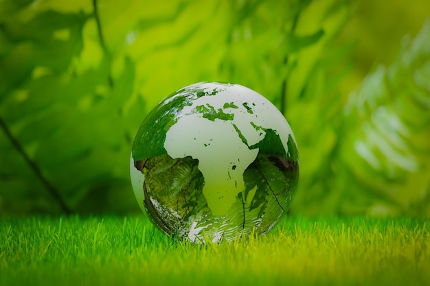 uma terra de vidro transparente na floresta renderização 3D