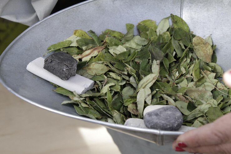 Foto uma tigela cheia de folhas de coca na bolívia