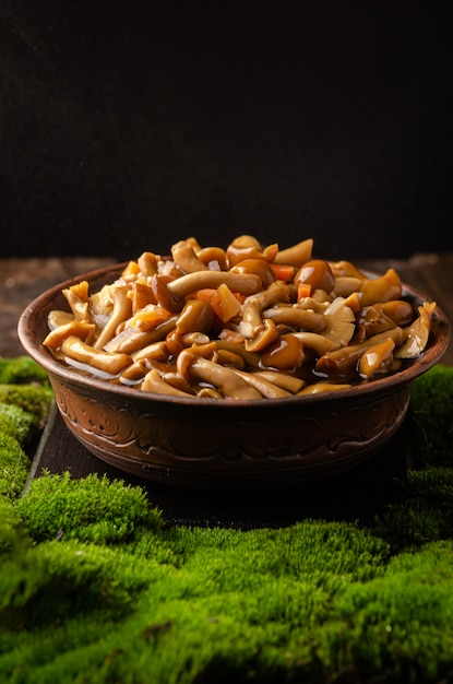 Uma tigela de barro grande com cogumelos selvagens (cogumelos mel), fica em uma velha mesa de madeira com musgo verde. Produtos ecológicos, encontro natural