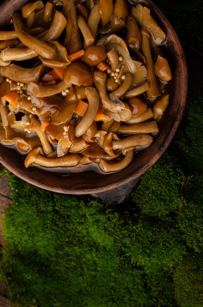 Uma tigela de barro grande com cogumelos selvagens (cogumelos mel), fica em uma velha mesa de madeira com musgo verde. Produtos ecológicos, encontro natural