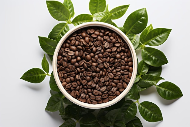 Uma tigela transborda de grãos de café aromáticos cercados por folhas verdes vibrantes