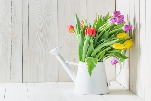 Uma tulipa colorida e jovem em uma mesa branca