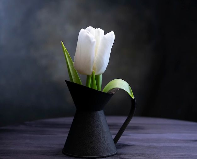 Uma tulipa em um vaso velho