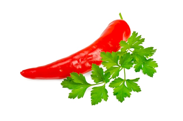 Uma vagem de pimenta vermelha com um raminho de salsa verde isolada no fundo branco