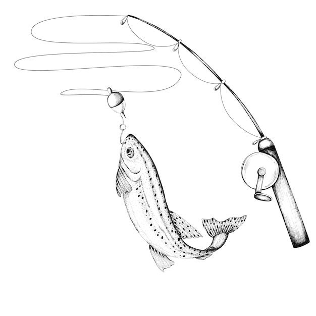 Uma vara com truta arco-íris apanhada nela Clipart de pesca Uma linha de pesca de bobber Tinta desenhada à mão